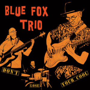 Lire la suite à propos de l’article Blue Fox Trio